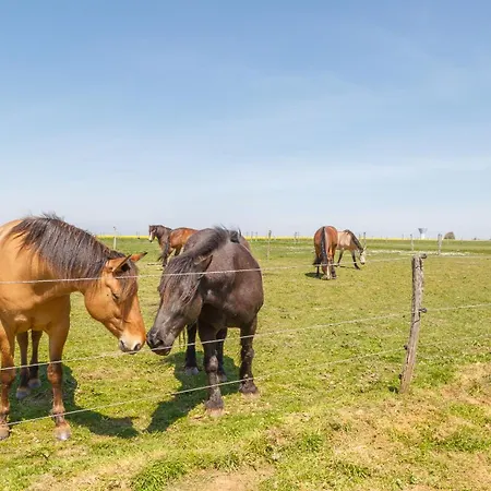 Prázdninový dům Tiny House Haras Normand - 20 Minutes D'etretat Annouville-Vilmesnil