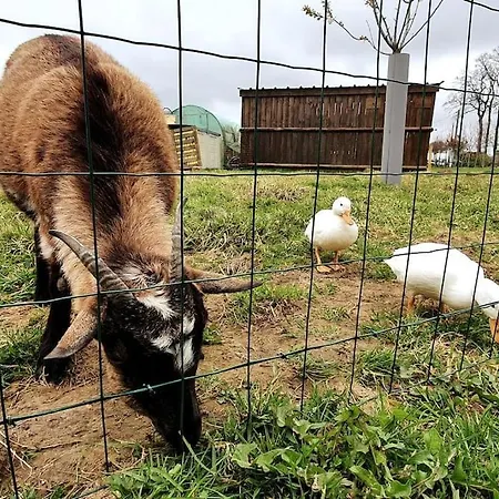 Tiny House Haras Normand - 20 Minutes D'etretat Prázdninový dům *